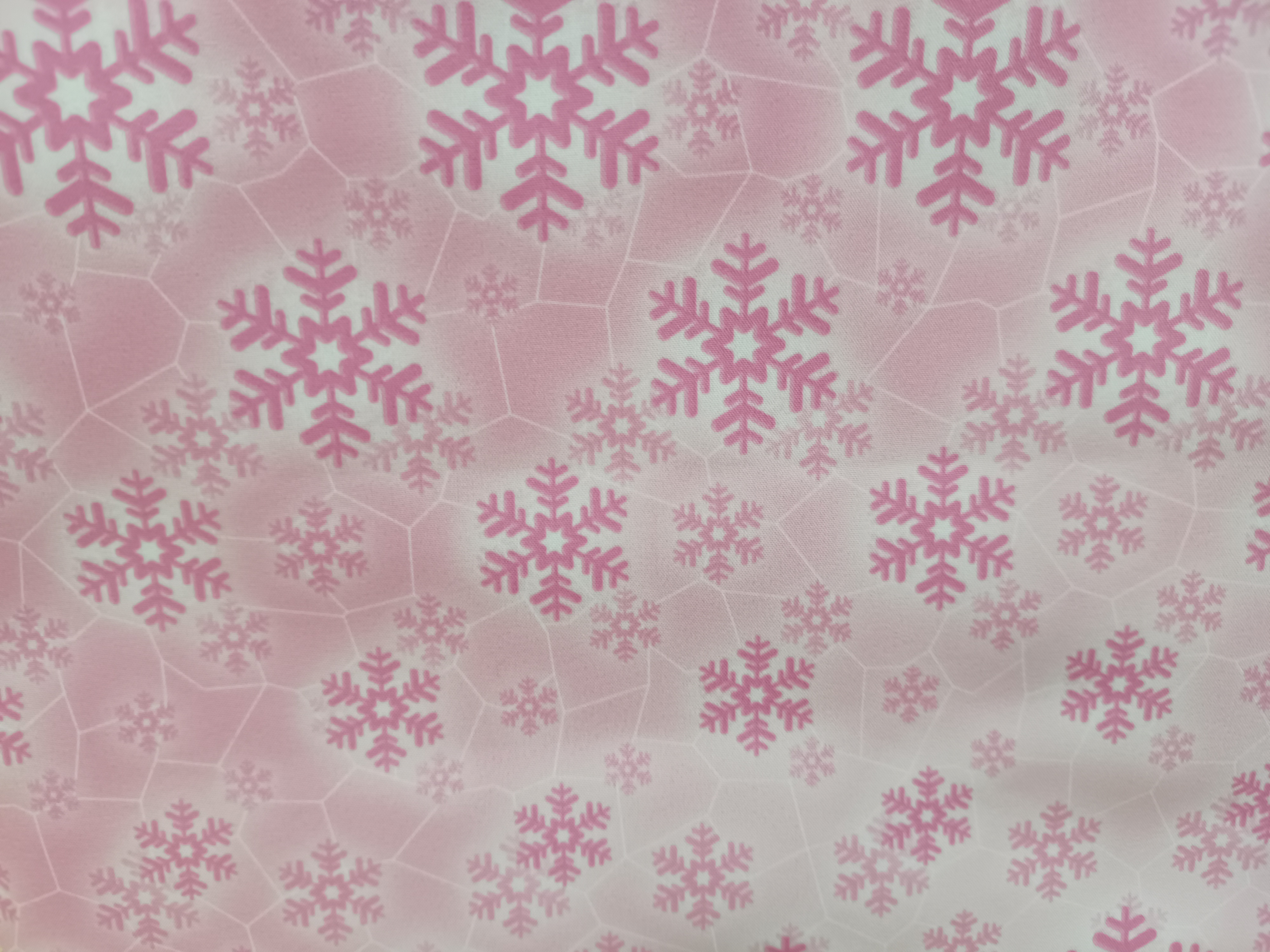 Schneeflo 19