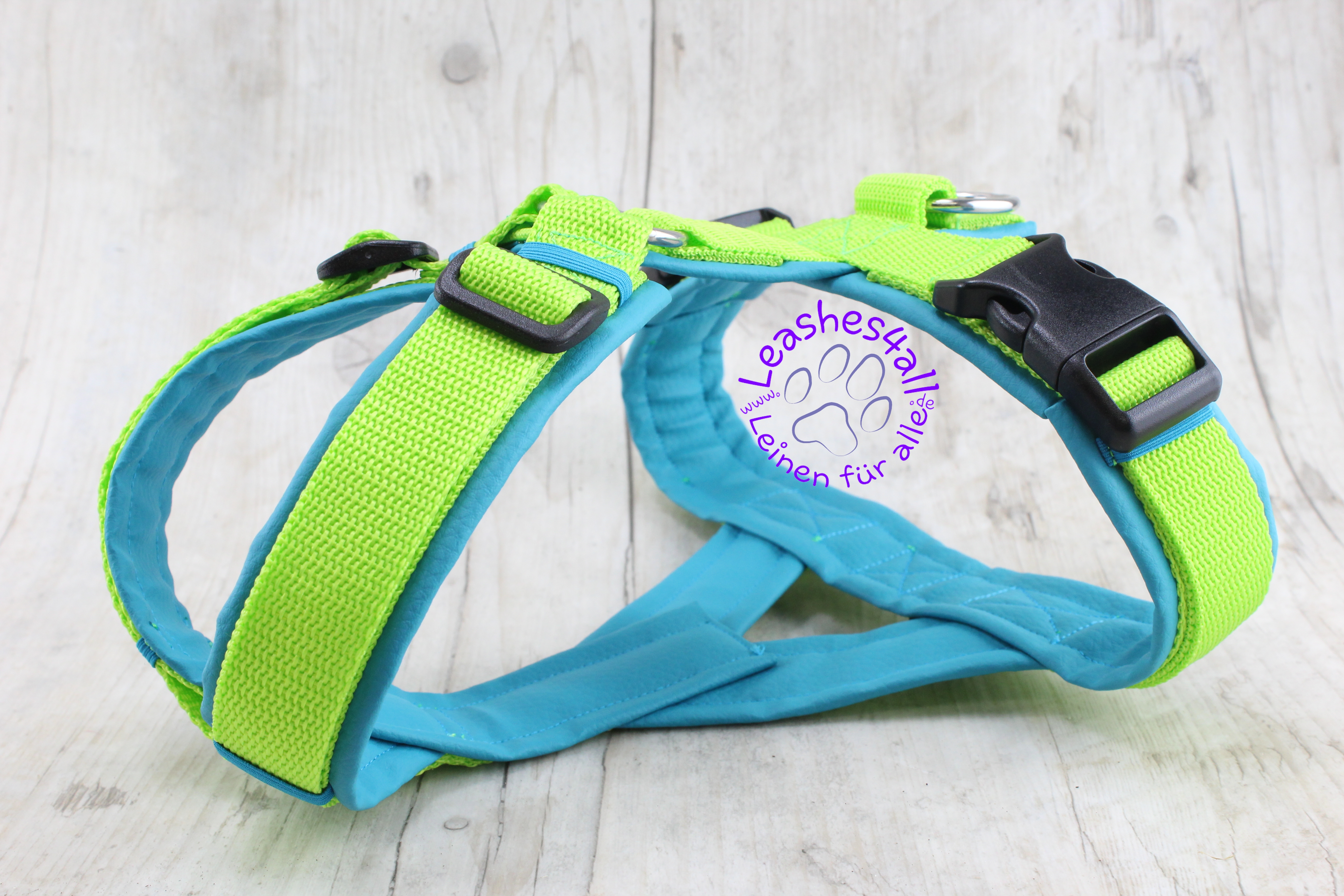 20210809200456_IMG_9591L4a Geschirr Premium