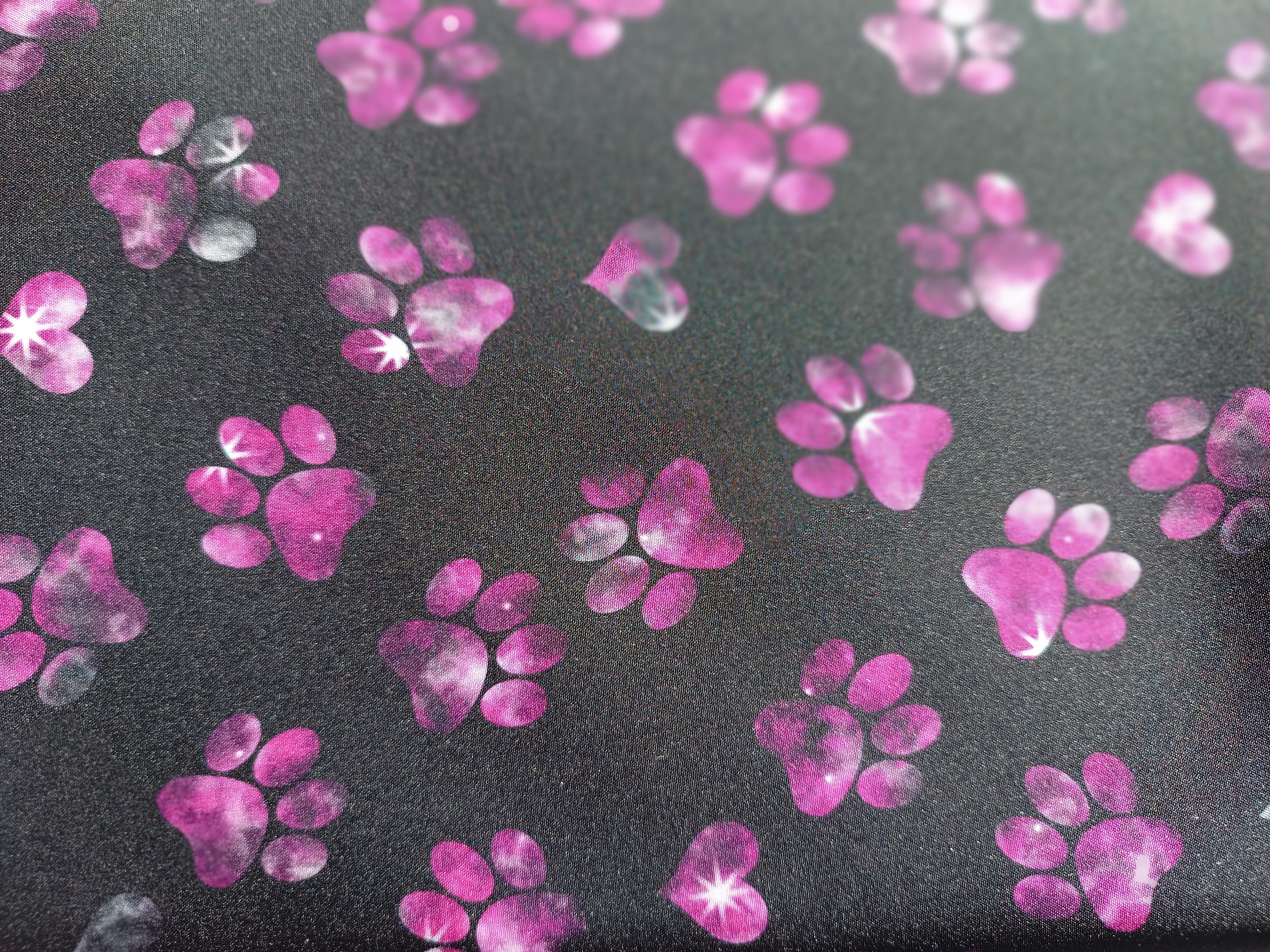 Pfoten Pink