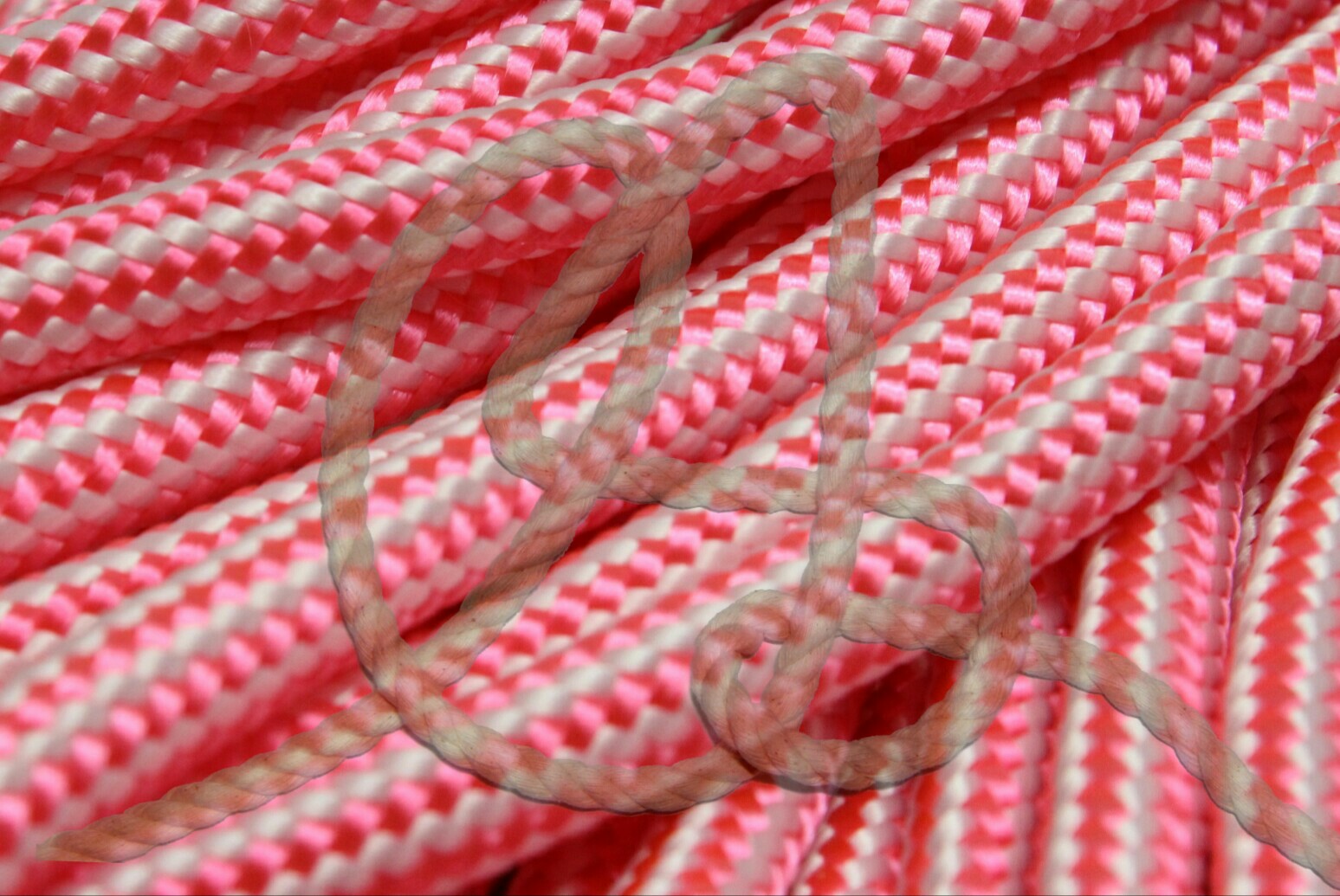 Stripe Pink/White