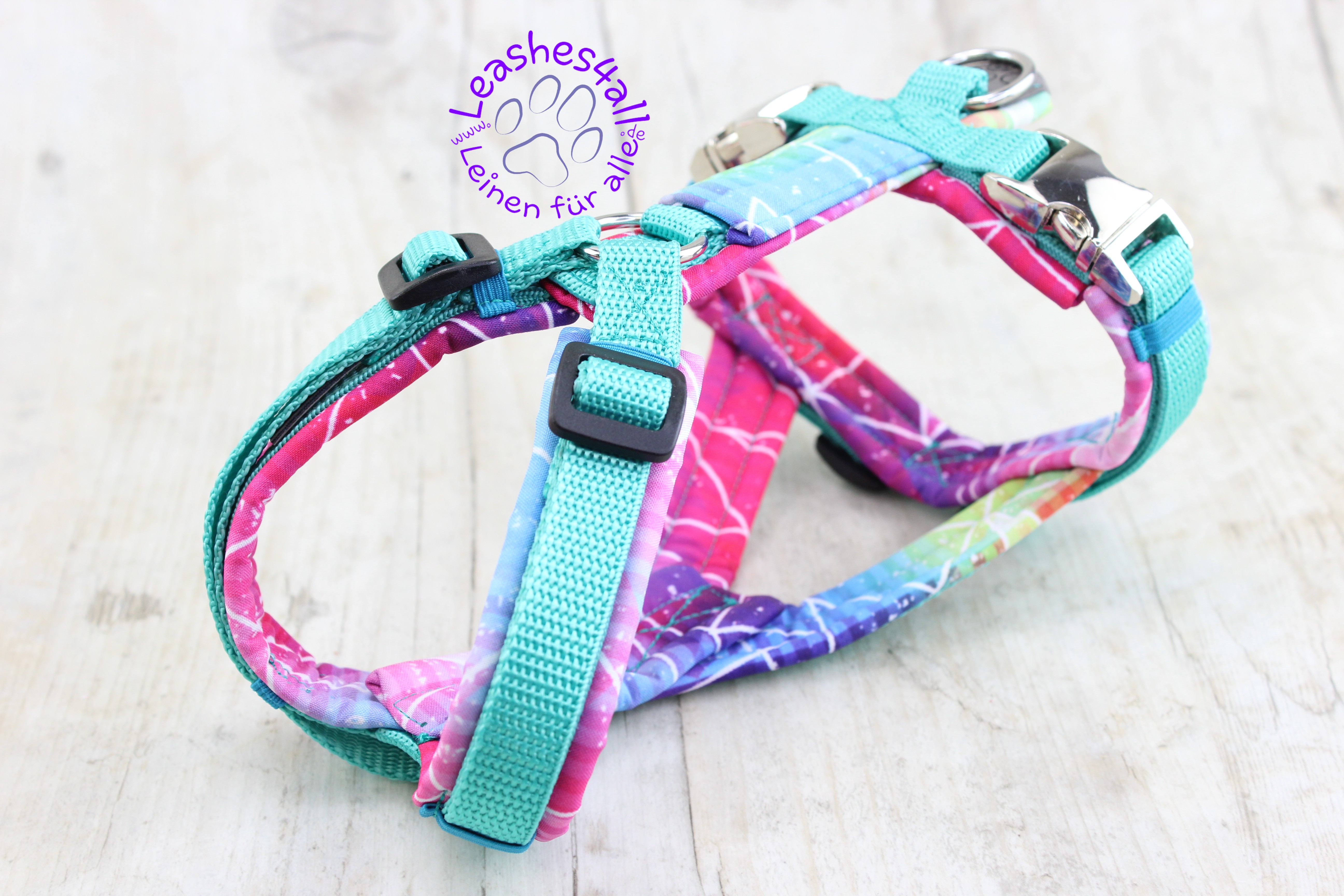 20220613145534_IMG_2580l4a